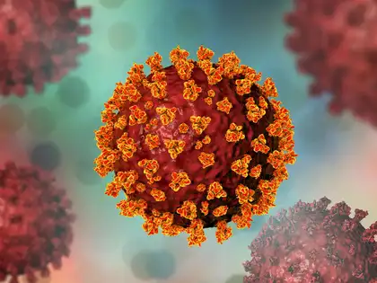 भारत में कोविड का नया NB.1.8.1 वैरिएंट, जानें लक्षण और खतरनाक स्तर