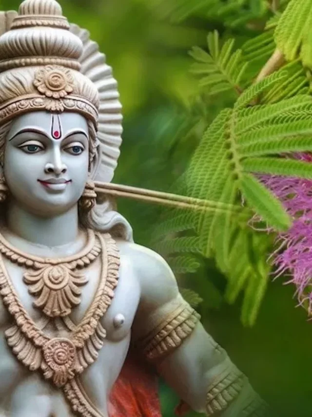 शनि जयंती 2025: शमी के ये उपाय दूर करेंगे सभी बाधाएं
