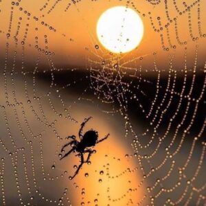 Palavra do dia_ ILUSTRAÇÃO Era uma simples…