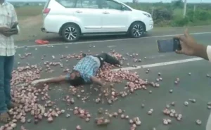 सड़क पर बिखरा प्याज, और उस पर लोटता हमारा अन्नदाता