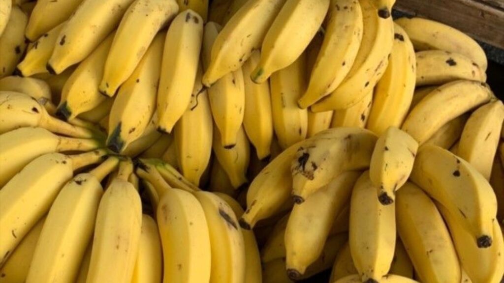 रोज़ 2 केले खाने से क्या होता है? जानें हैरान कर देने वाले फायदे