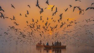 दिल्ली की Famous Places घूमने के लिए Monsoon Season में
