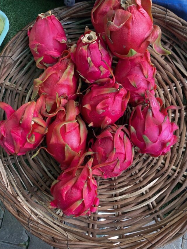 Dragon Fruit: जितना महंगा फल उतने ही फायदे, जानें इसके राज