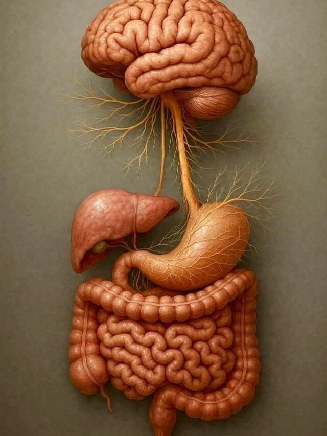 लिवर सिरोसिस: इन 6 संकेतों को बिल्कुल न करें नजरअंदाज!