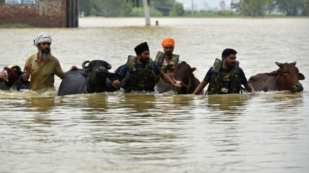 Punjab Flood 2025