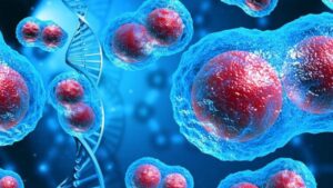 3 Superfoods That Help Prevent Cancer