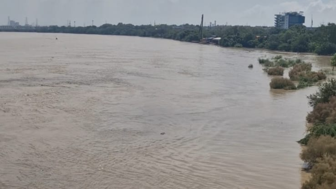 यमुना नदी जलस्तर 2025