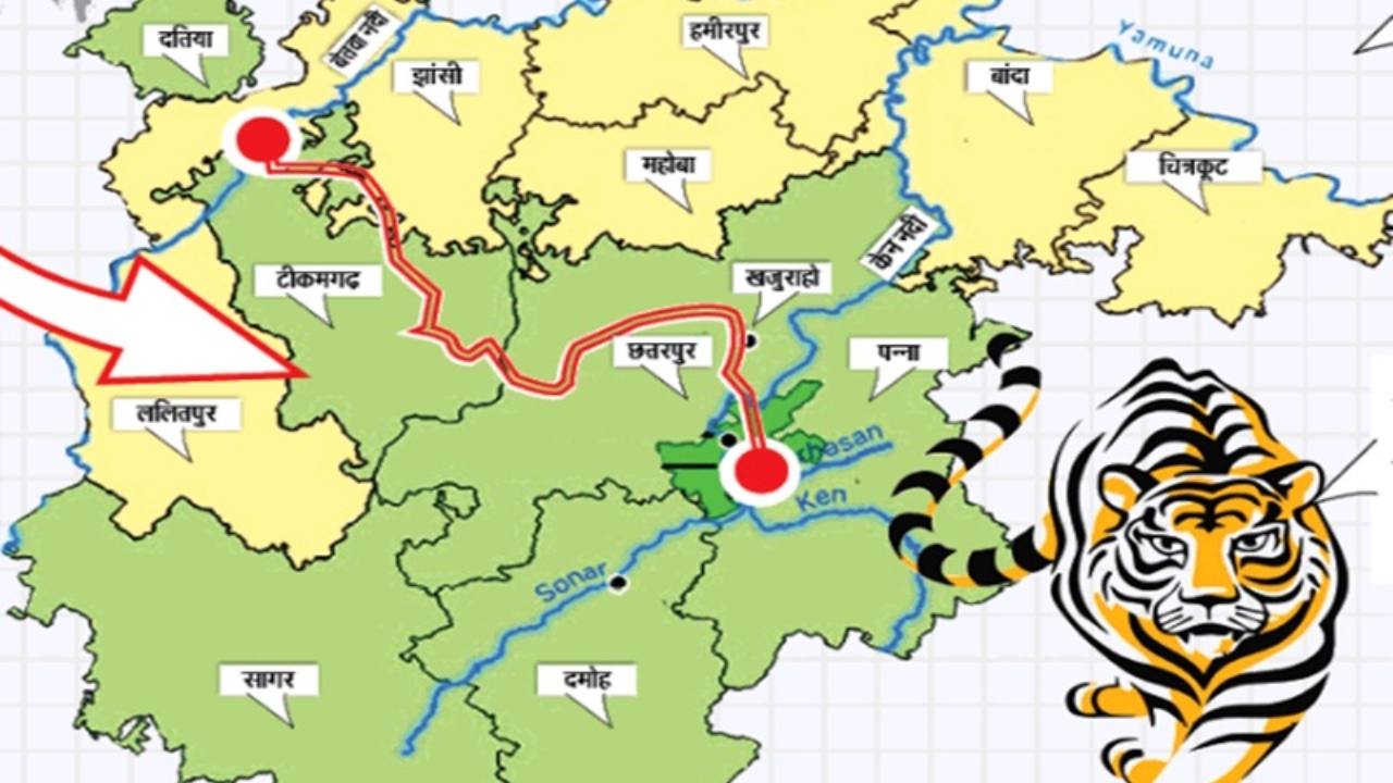 मध्यप्रदेश की नदियाँ: नर्मदा से शिप्रा तक का इतिहास, महत्व और सांस्कृतिक धरोहर