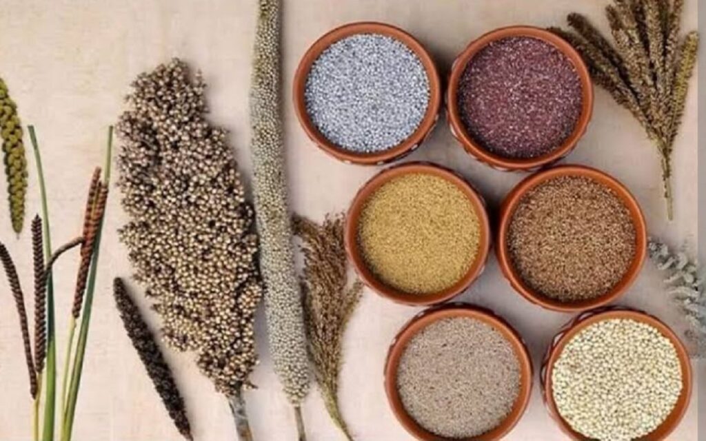 National Nutrition Week 2025