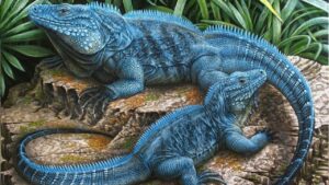 7 Unique Animals That Are Blue in Colour - And Why