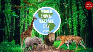 World Animal Welfare Day