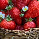 7 Health Benefits of Eating Strawberries, Discover by Expert