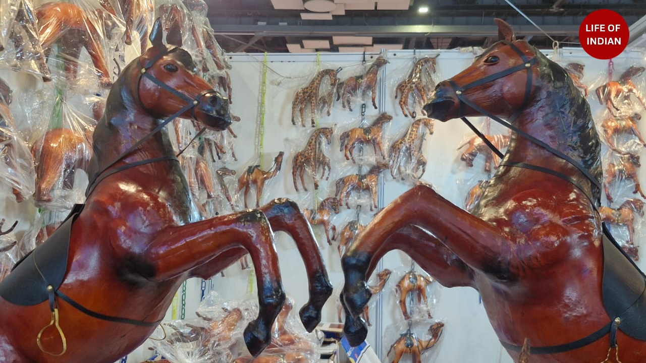 Delhi Trade Fair 2025