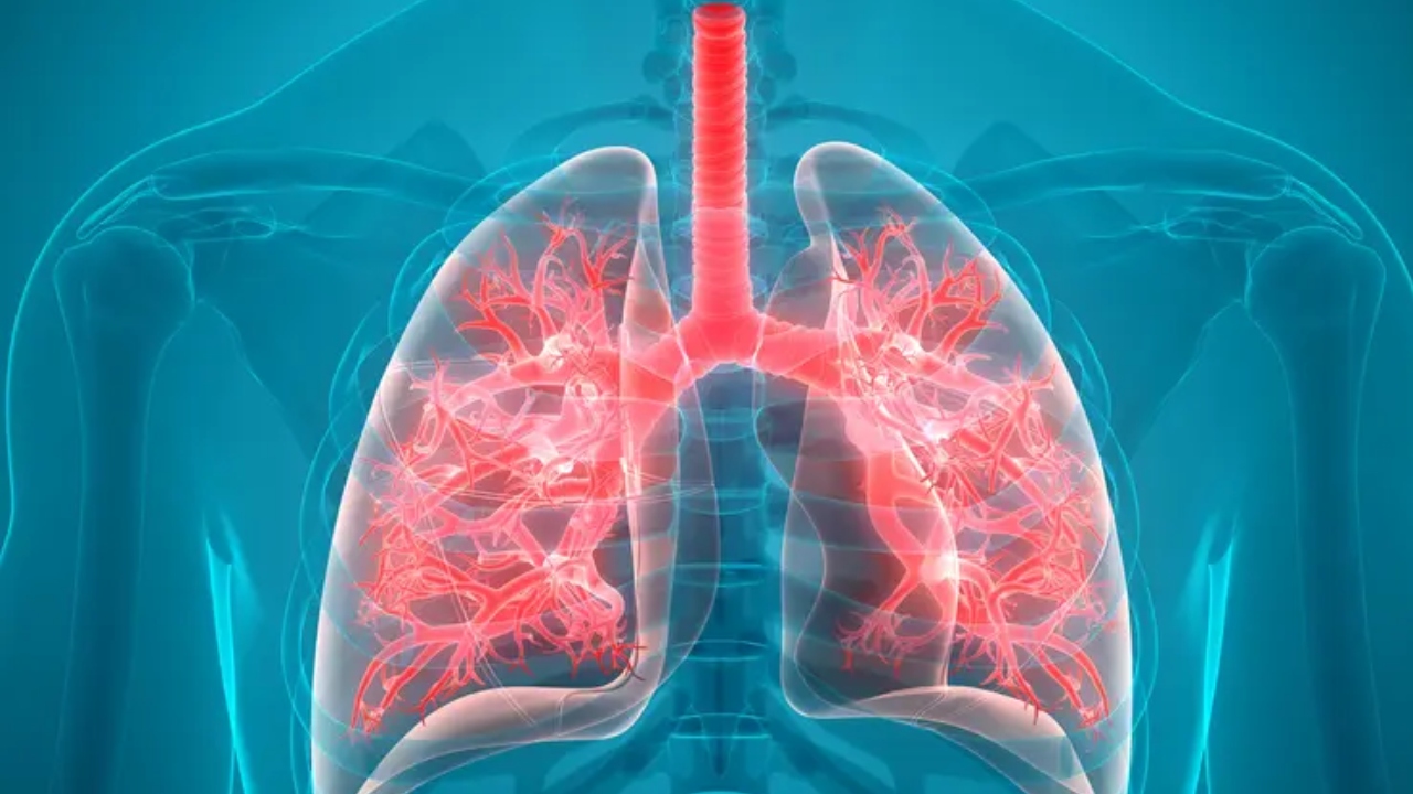 Clears Chest Congestion & Reduces Phlegm