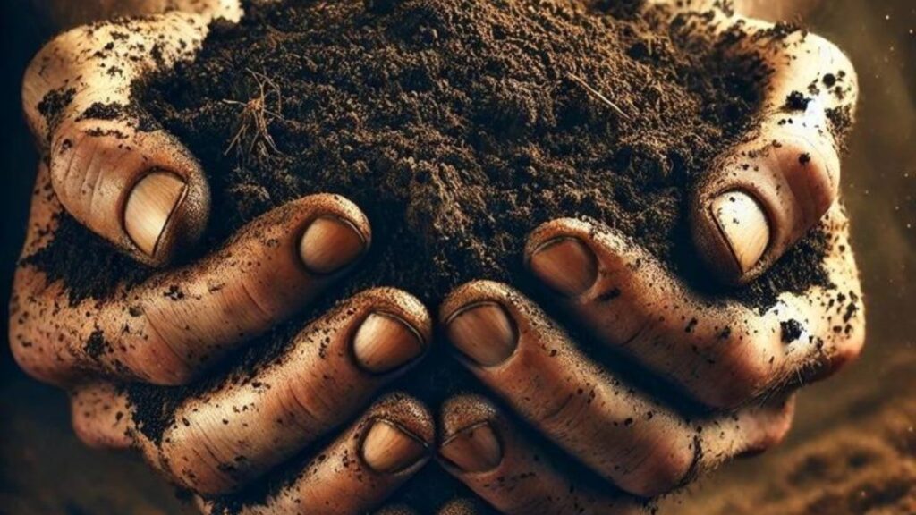 World Soil Day 2025: Healthy Soil, Healthy Life