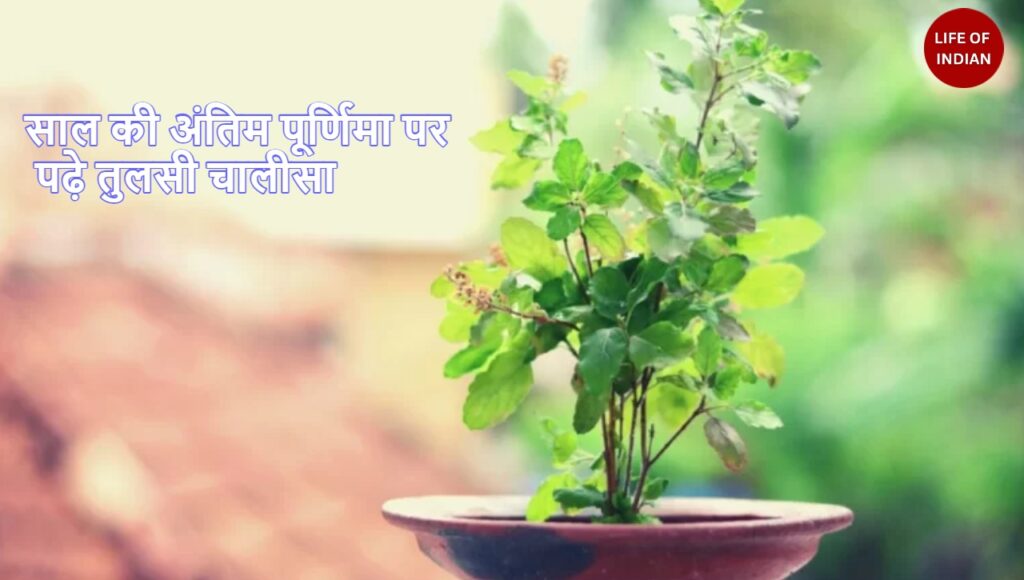 साल की अंतिम पूर्णिमा पर पढ़े तुलसी चालीसा