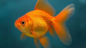 7 Animals Believed to Bring Good Luck in Life