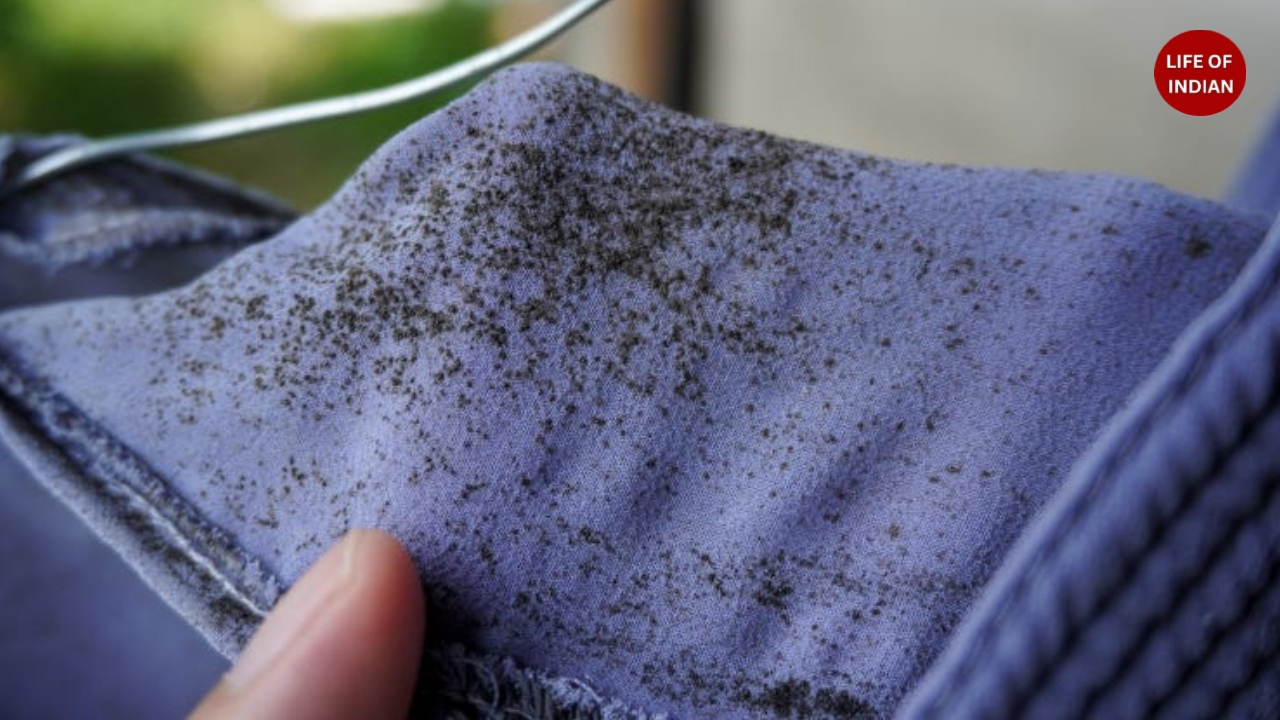 Protect From Fungus and Moisture