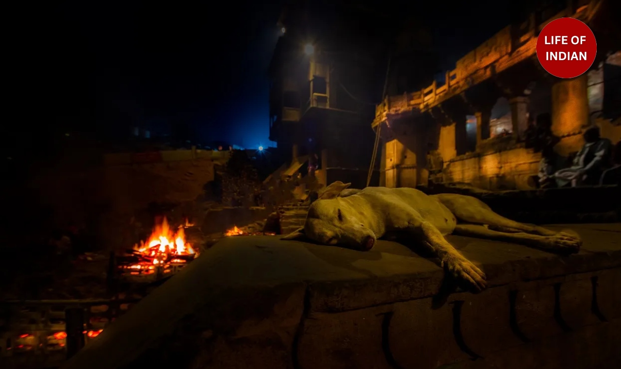 The Mystery of the Number “94” Written on the Pyre