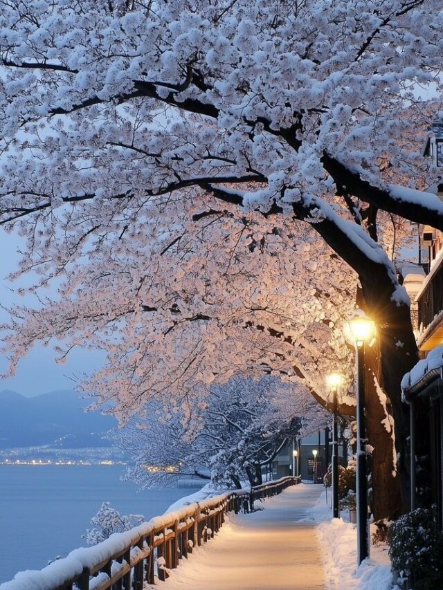 7 Winter Destinations in India to Visit in 2025