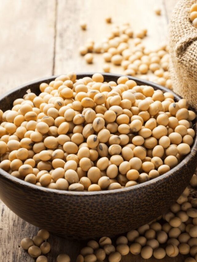 7 Cheap Foods Loaded With Protein for Daily Nutrition