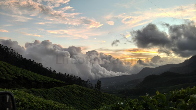 Kerala Worlds Highest Tea Gardens 1