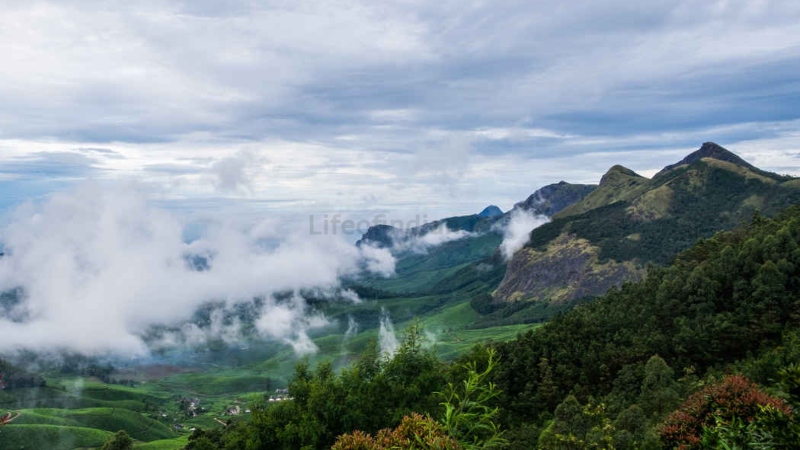 Kerala Worlds Highest Tea Gardens 5