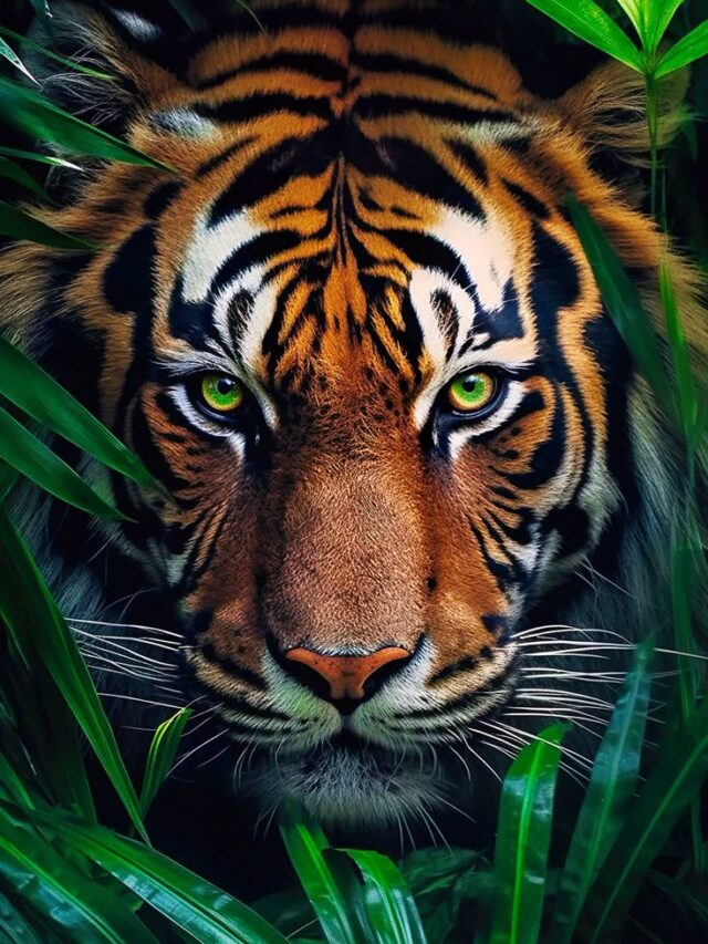 8 Tiger Reserves Every Wildlife Lover Must Visit in India