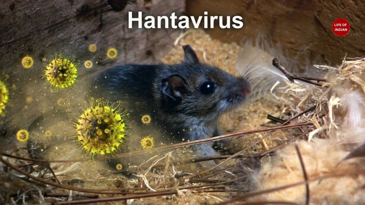 Hantavirus