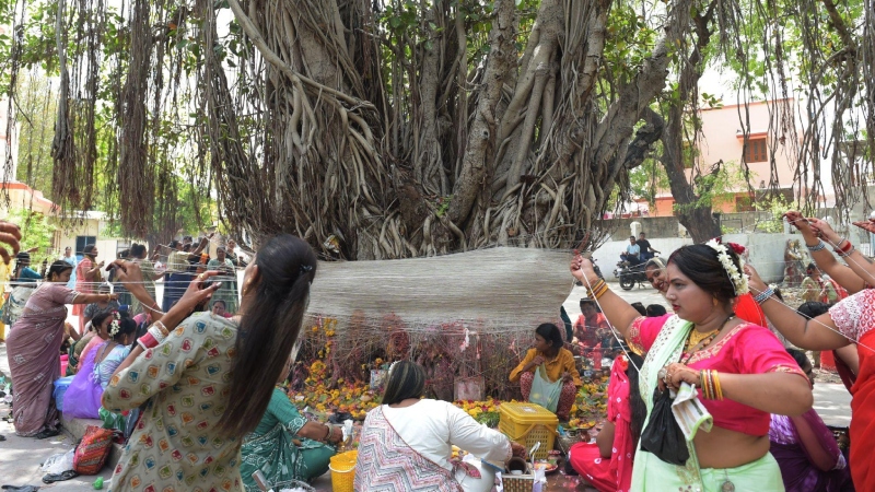 Vat Savitri 9