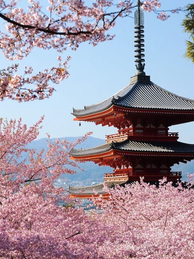 8 Must-Visit Seasonal Places Around the World
